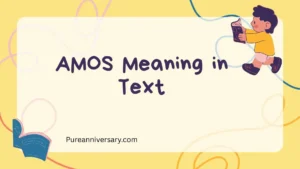 AMOS Meaning in Text