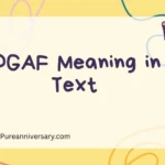 IDGAF Meaning in Text