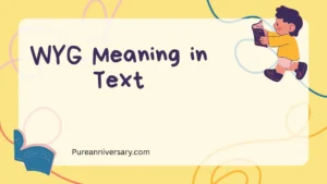WYG Meaning in Text