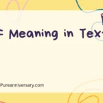 BFF Meaning in Text