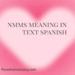 NMMS Meaning in Text Spanish