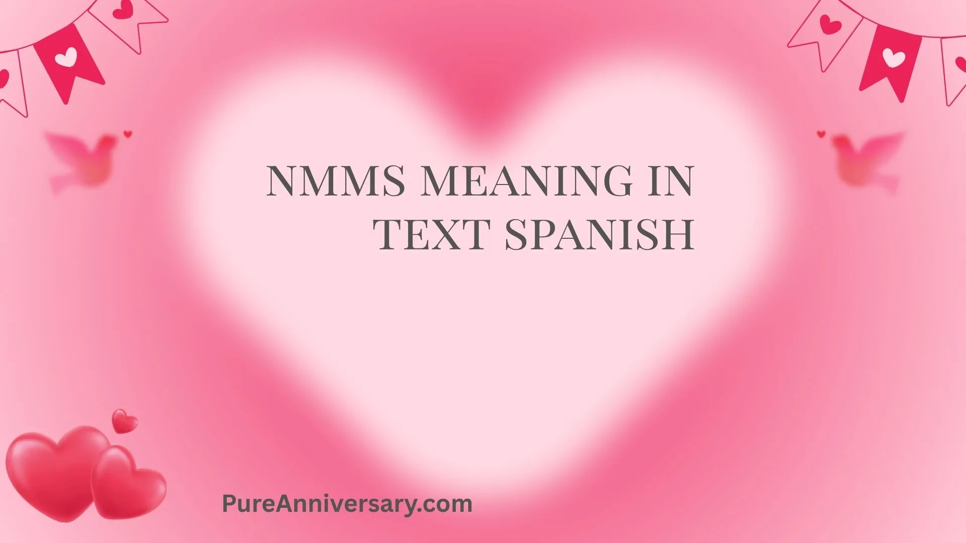 NMMS Meaning in Text Spanish