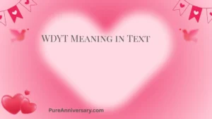 WDYT Meaning in Text