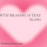 WTM Meaning in Text Slang