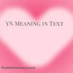 YN Meaning in Text